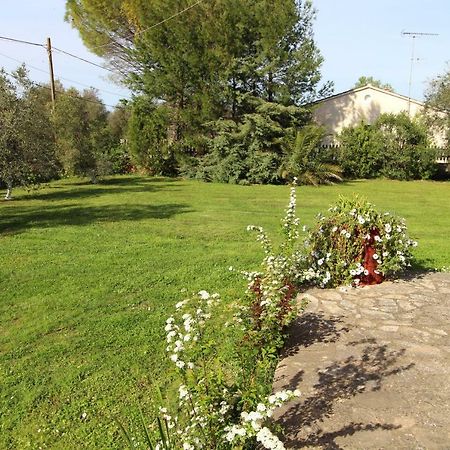 Karoubis Studio Kavallouri Buitenkant foto